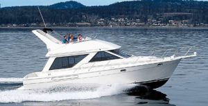 39 Bayliner Boat