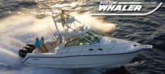 Boston Whaler Boats For Sale