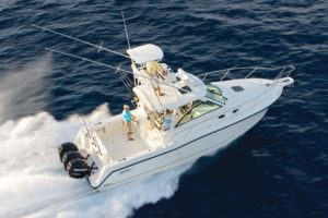 Boston Whaler for sale