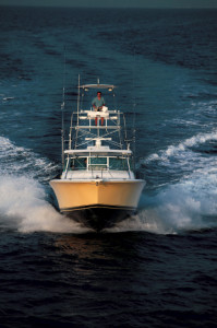Luhrs 38