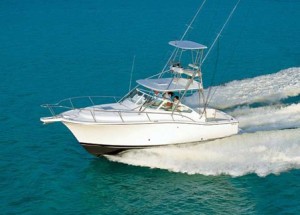 luhrs 31 open