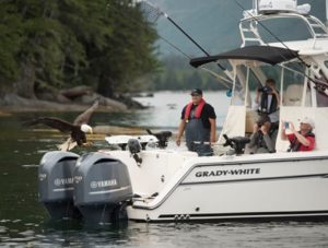 Used Grady White Boats For Sale