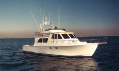 Blackman Boats For Sale