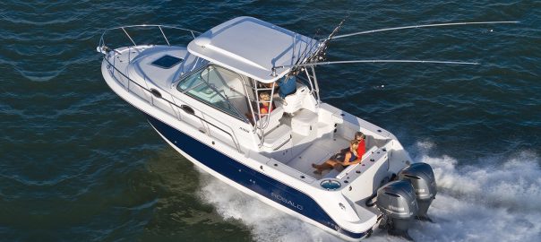 Robalo 305 For Sale