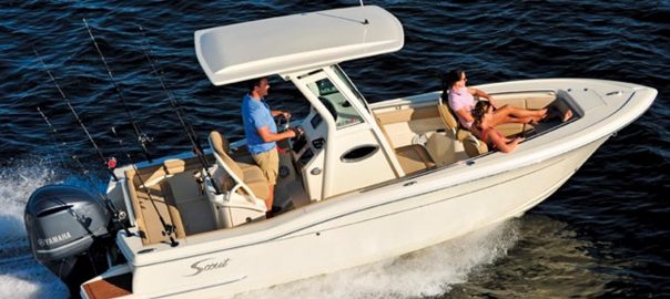 Scout Sportfish For Sale