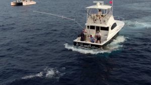 Ocean Boat For Sale