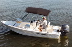 Triumph boats for sale