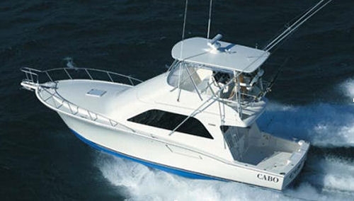 Cabo Yachts 40 Flybridge Boats For Sale Ballast Point Yachts