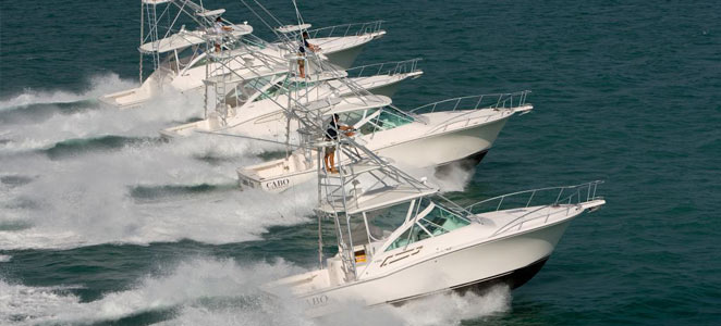Cabo Boats For Sale