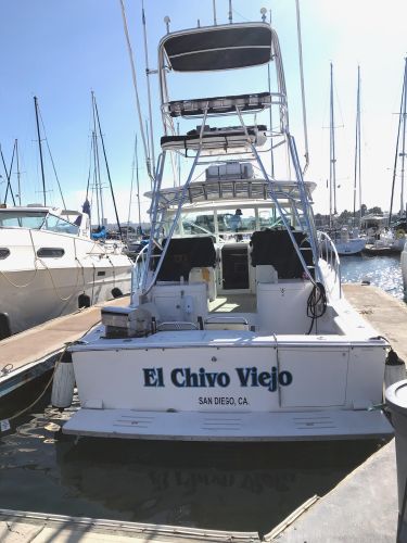 Cabo 32 Express for sale