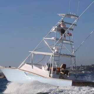 Predator boats for sale