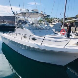 Pro Line boats for sale